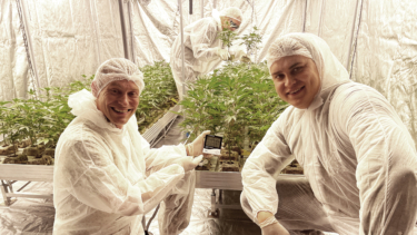 Vereins-Geschäftsführer Jannik Friedrich und Mitglied Dmytro Burakov vor den jungen Pflanzen