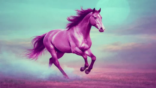 Frame mit AKVA, WHYOS und vielen mehr im Frau Holle