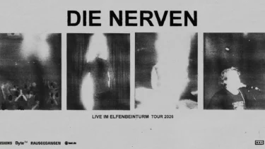 DIE NERVEN live in der Markthalle