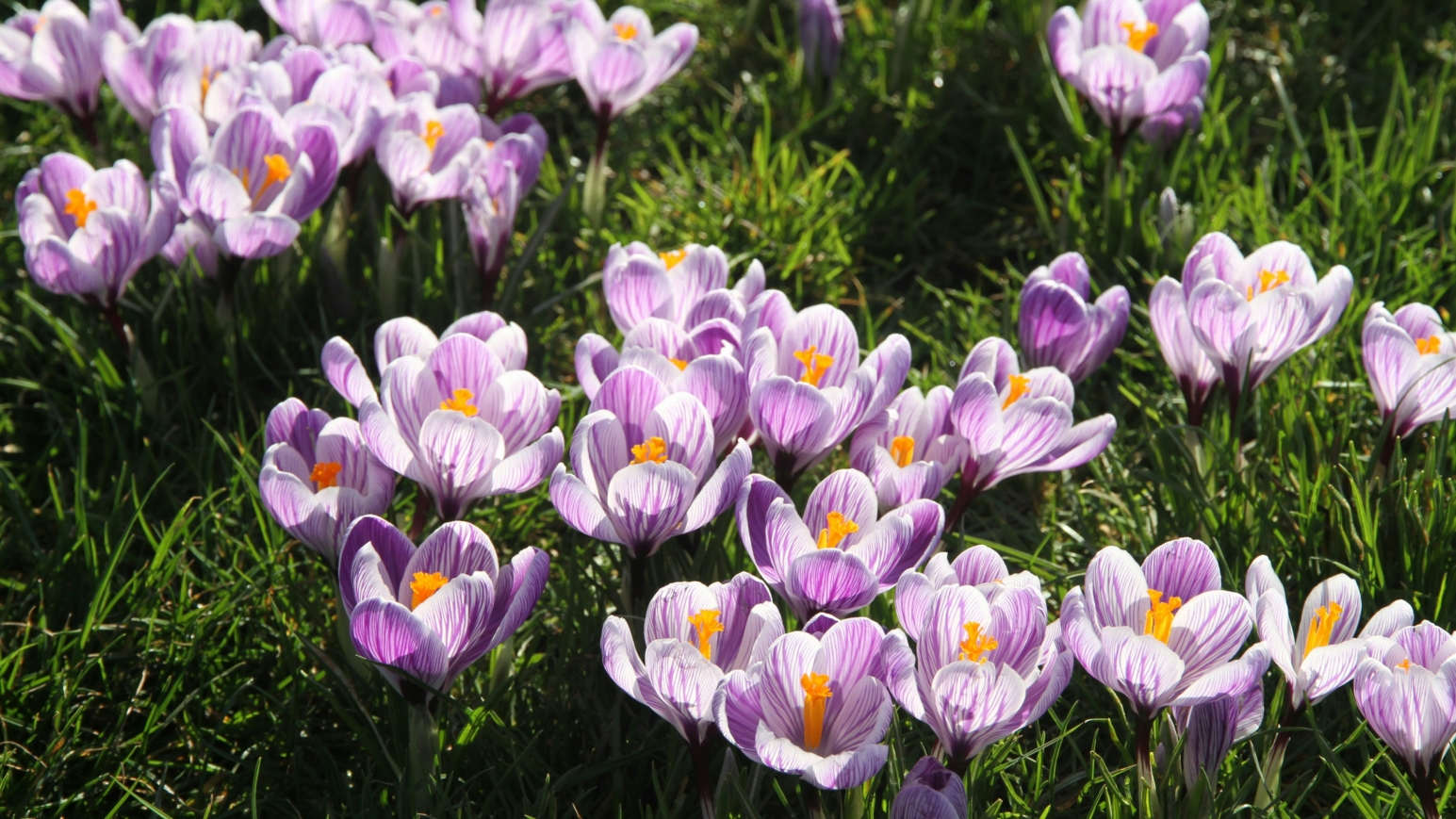 Der Frühling ist im vollem Gange. Die perfekte Jahreszeit für zahlreiche tolle Veranstaltungen in Hamburg im April