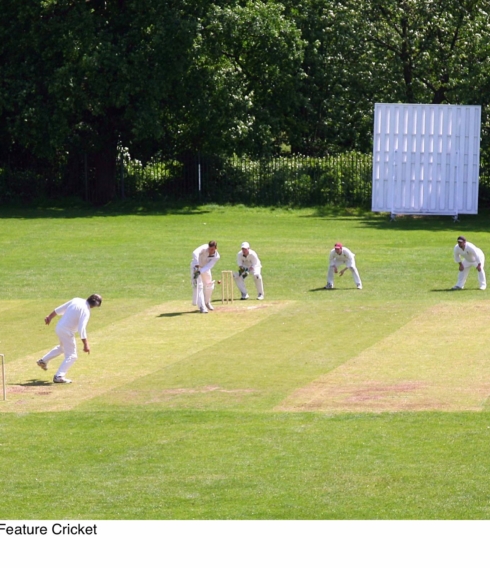 Sieben Hamburger Vereine mit 59 Teams bieten Cricket derzeit in verschiedenen Spielweisen an (©C. Witters)