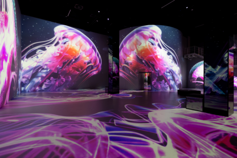 Wunderschöne, überdimensionale Quallen im Port des Lumières