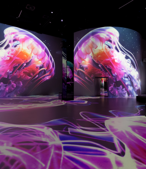 Wunderschöne, überdimensionale Quallen im Port des Lumières