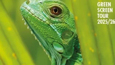 GREEN SCREEN TOUR 25/26 im zeise Kino