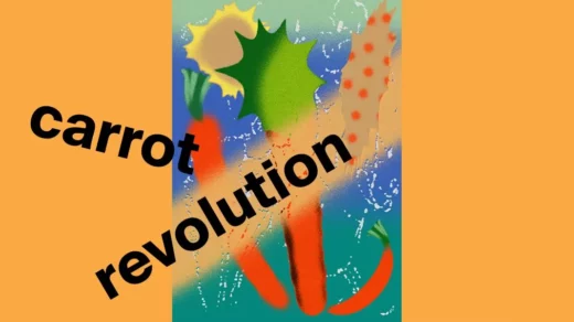 carrot revolution im resonanzraum