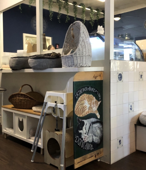 Katers Köök war das erste Katzencafé in Hamburg Eimsbüttel / ©Genuss-Guide