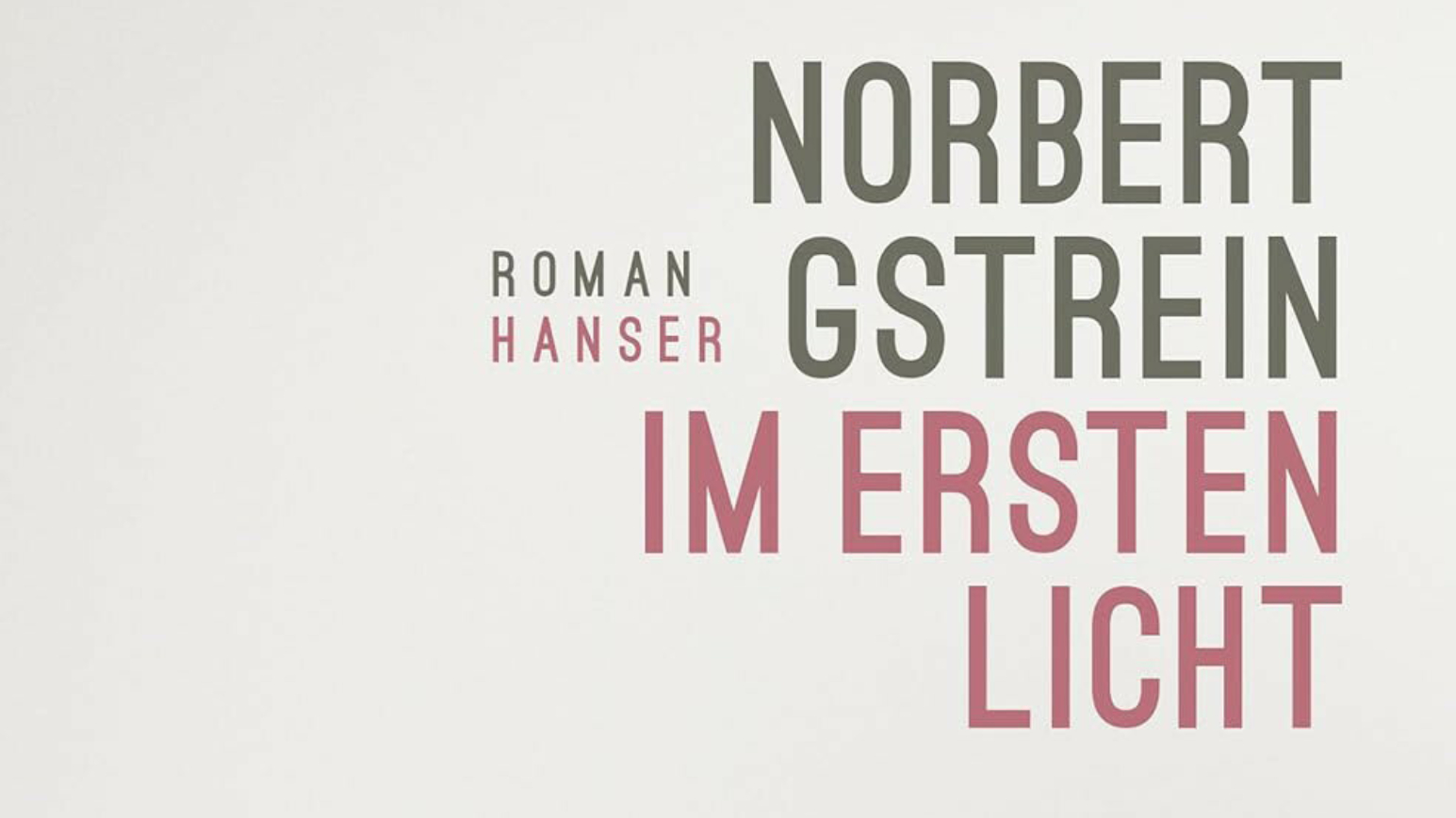 Ausschnitt des Buchcovers von Norbert Gstreins Roman „ Im ersten Licht“