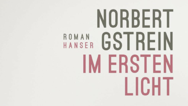 Ausschnitt des Buchcovers von Norbert Gstreins Roman „ Im ersten Licht“