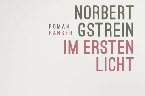 Ausschnitt des Buchcovers von Norbert Gstreins Roman „ Im ersten Licht“