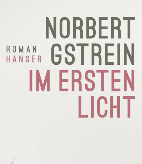 Ausschnitt des Buchcovers von Norbert Gstreins Roman „ Im ersten Licht“