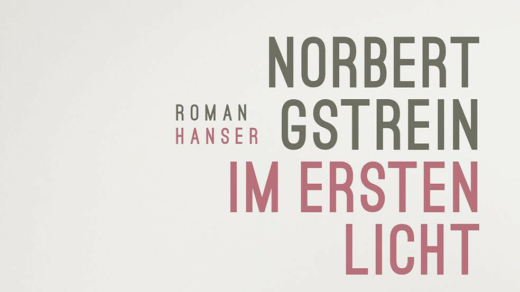 Ausschnitt des Buchcovers von Norbert Gstreins Roman „ Im ersten Licht“