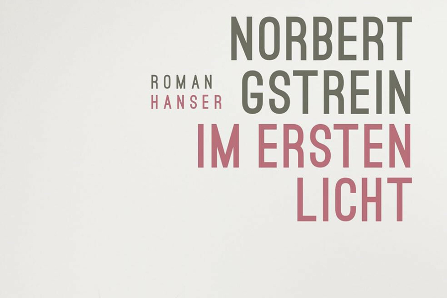 Ausschnitt des Buchcovers von Norbert Gstreins Roman „ Im ersten Licht“