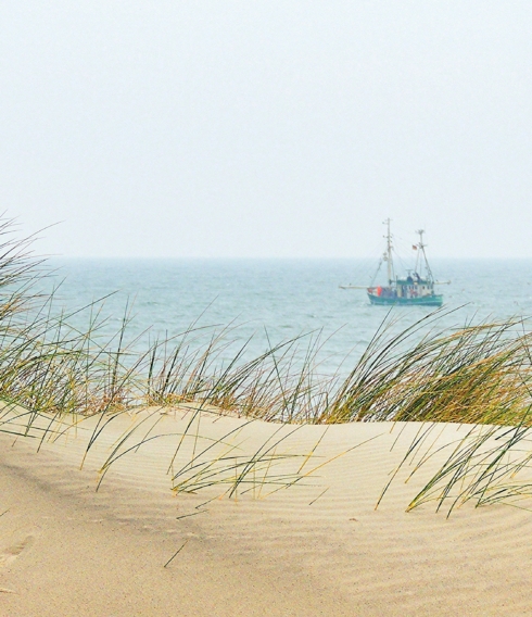 Derbes Wetter und derbe Sprüche: Norddeutschland