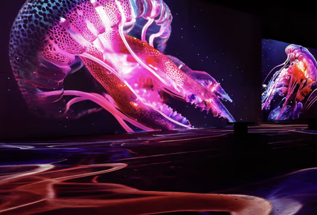 Wunderwelt Ozean im Port des Lumières