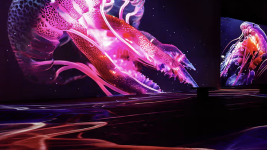 Wunderwelt Ozean im Port des Lumières