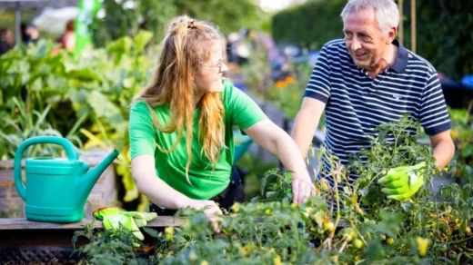 Pflanzentauschmarkt im Wilhelmsburger Inselpark