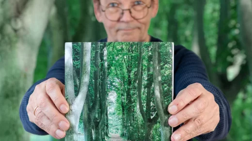 „100 Jahre Stadtpark“ in der Fischhalle Harburg
