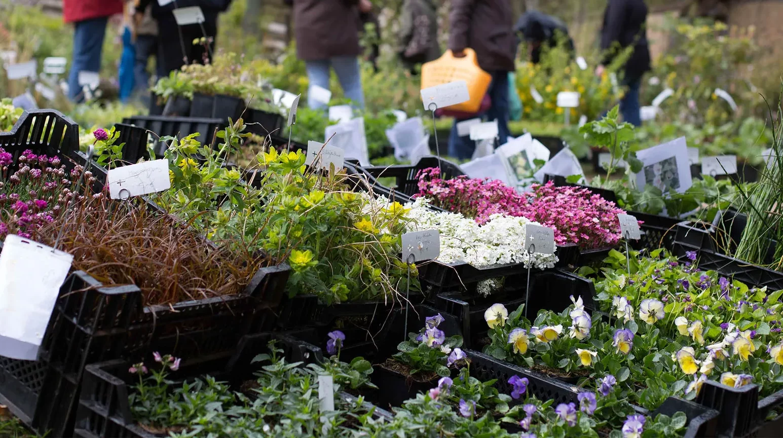 Pflanzenmarkt im Freilichtmuseum am Kiekeberg