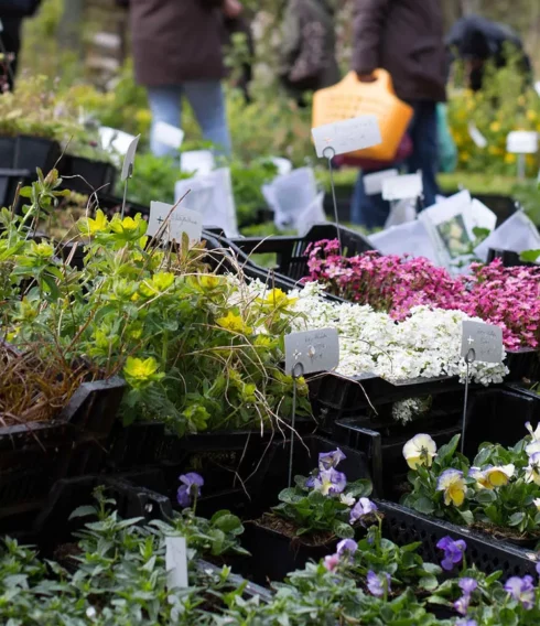 Pflanzenmarkt im Freilichtmuseum am Kiekeberg