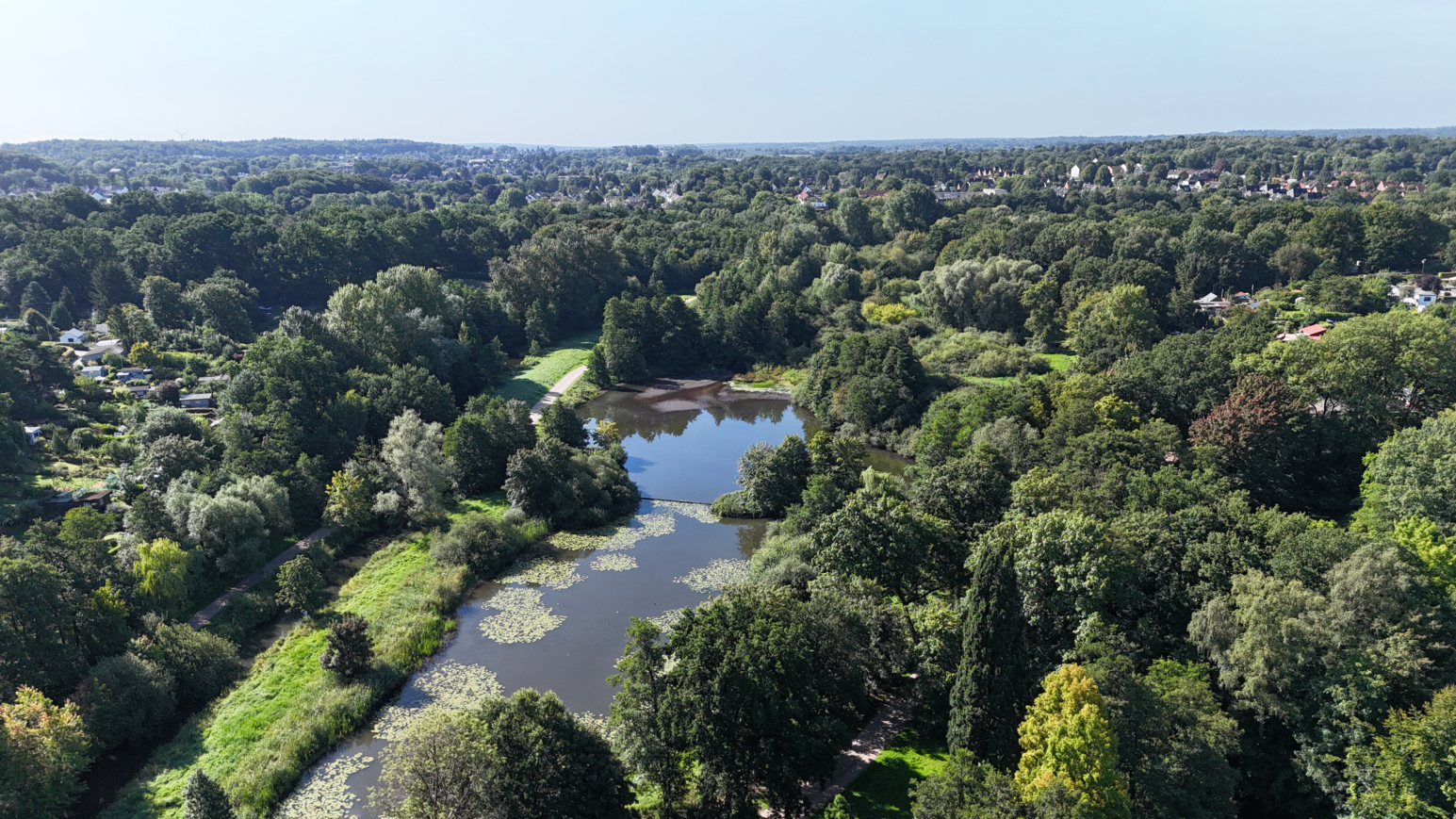 Ein Highlight im Stadtpark Harburg: der große Außenmühlenteich