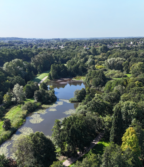 Ein Highlight im Stadtpark Harburg: der große Außenmühlenteich