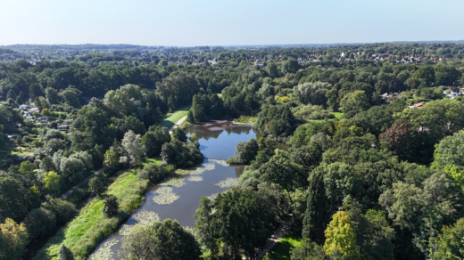 Ein Highlight im Stadtpark Harburg: der große Außenmühlenteich