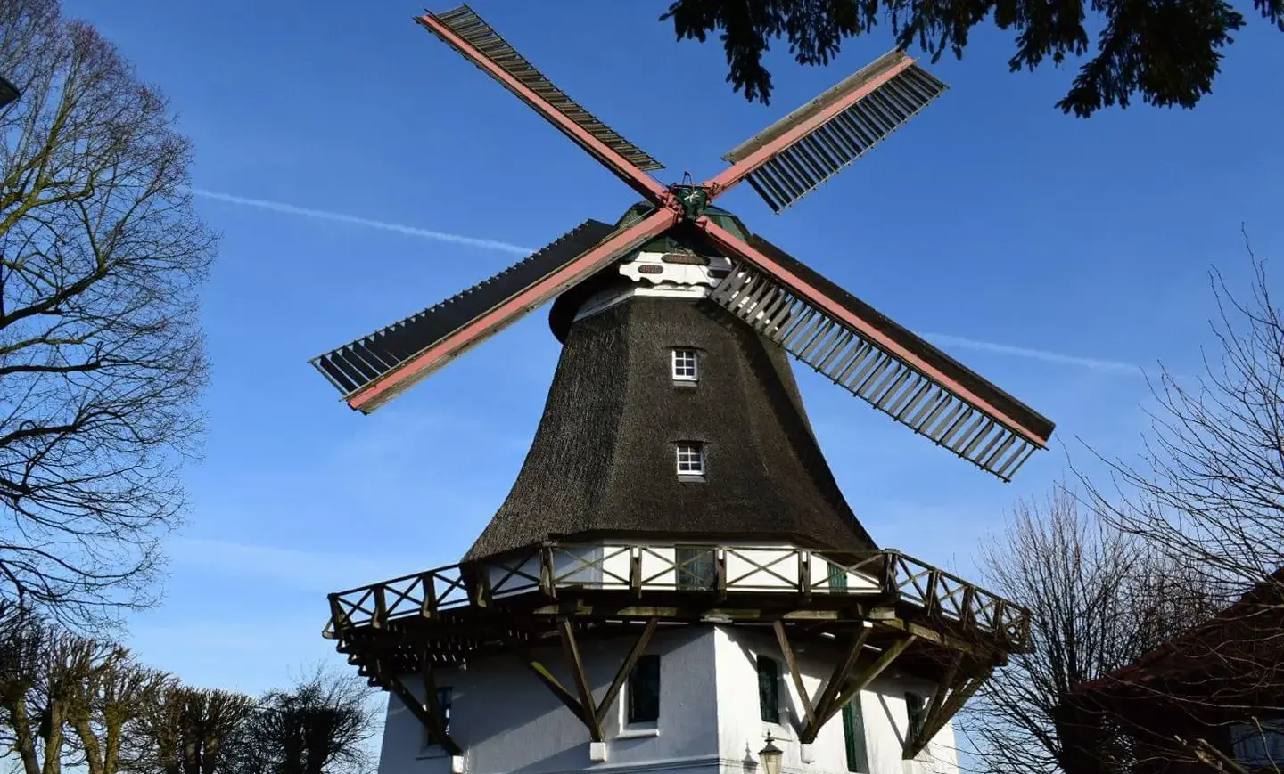 Bild der Windmühle Johanna