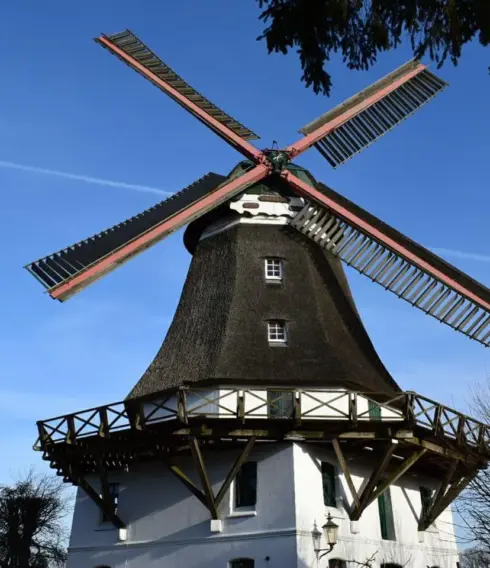 Bild der Windmühle Johanna