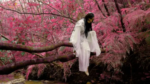 27. Japan-Filmfest Hamburg