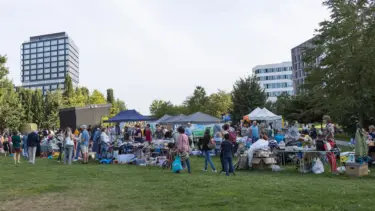 Der Flohmarkt im Lohsepark