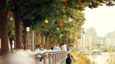 Die Hamburger Innenstadt verwandelt sich wieder in eine blühende Oase. Vom 7. Juli bis zum 18. August blüht es an vielen Ecken der Stadt auf