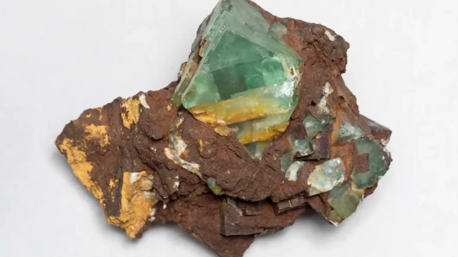 Fundberatung für Mineralien und Gesteine im Museum der Natur