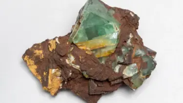 Fundberatung für Mineralien und Gesteine im Museum der Natur