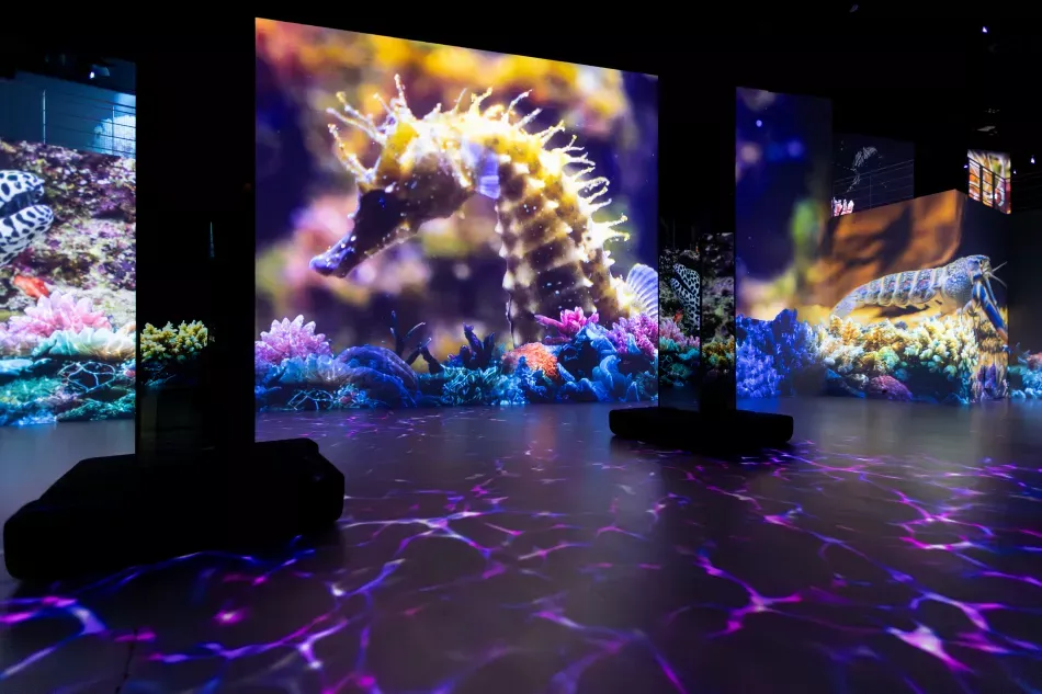 Science Night „WASSERWELTEN“ im Port des Lumières