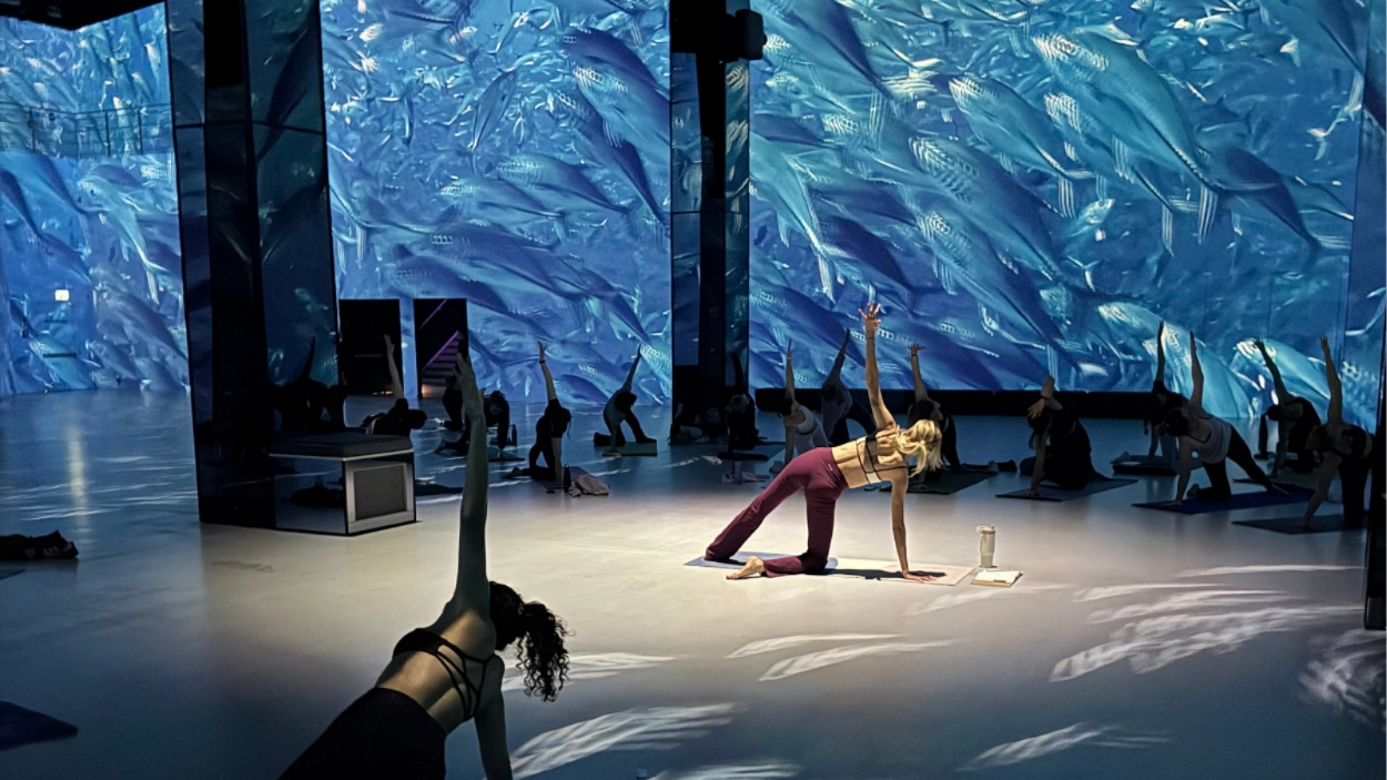 Immersives Yoga im Port des Lumières