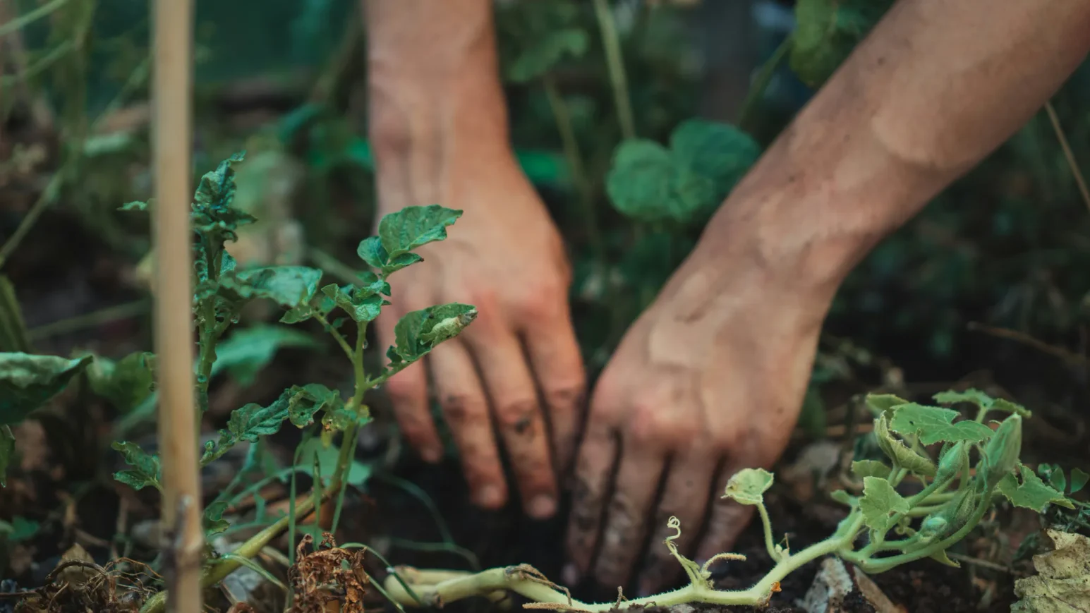 Mitmach-Garten auf Gut Karlshöhe