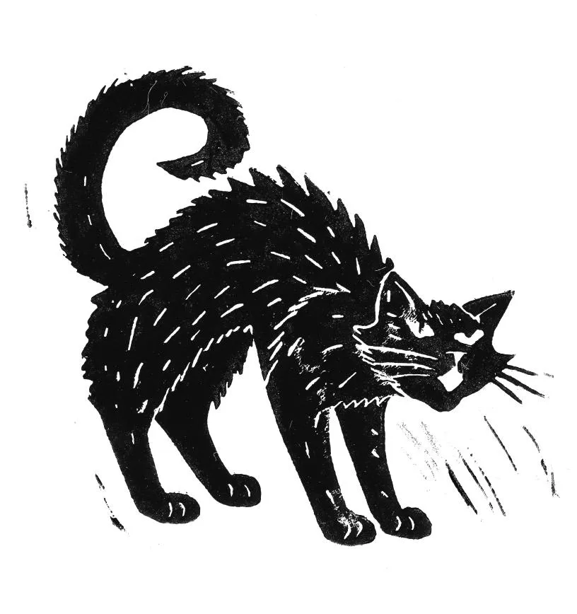Pussy, Power, Perspektiven im MARKK