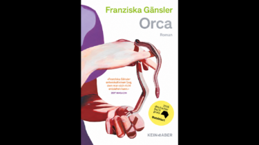 Das Cover zum Buch „Orca“ von Fanziska Gänsler