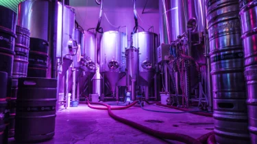 Brauereiführung mit Bierverkostung in der Landgang Brauerei