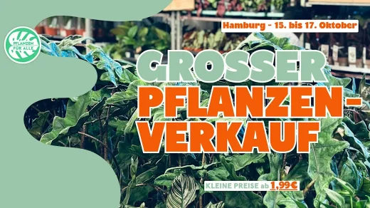 Großer Pflanzenverkauf in der Katholischen Akademie